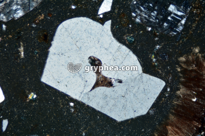 Rhyolite Quartz corrodé LPA x25 - gryphea.org